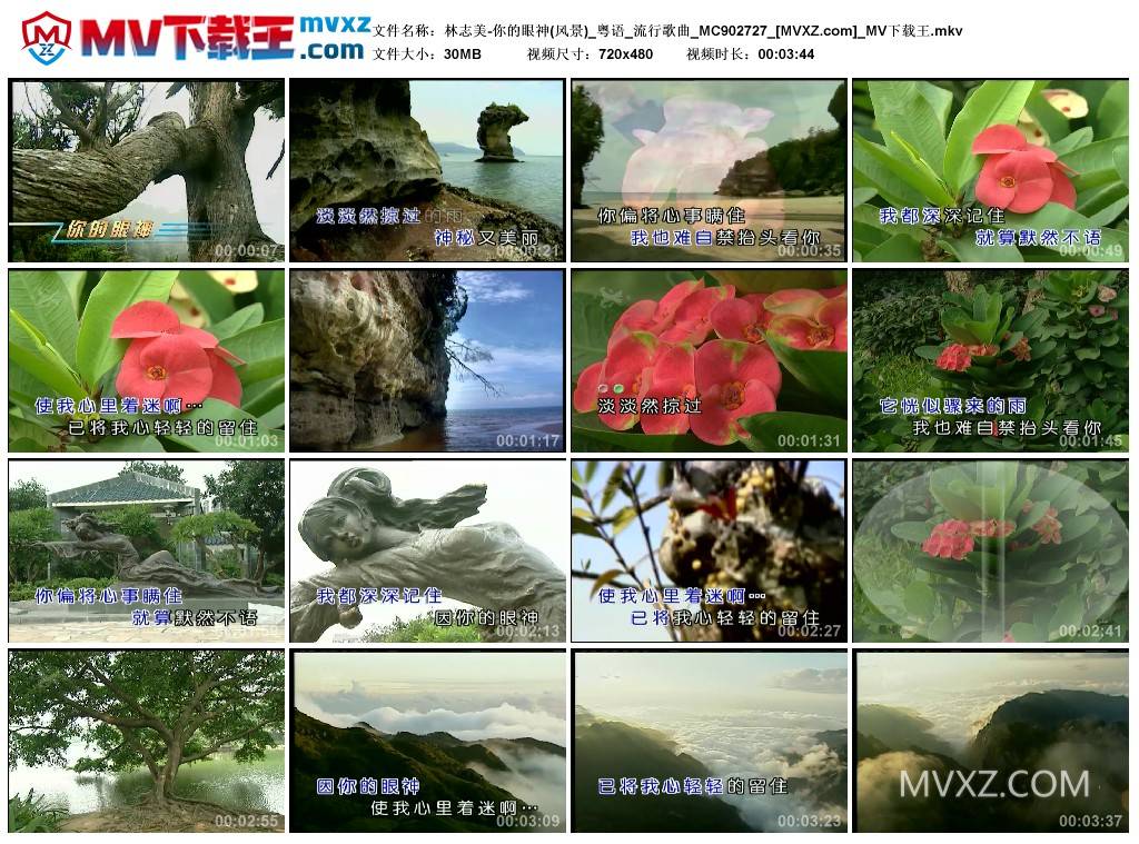 林志美-你的眼神(风景)_粤语_流行歌曲_MC902727